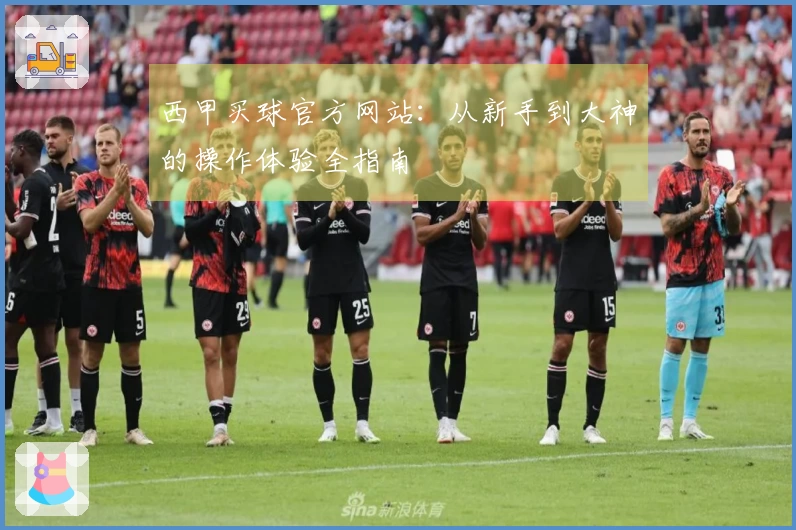 西甲买球官方网站：从新手到大神的操作体验全指南