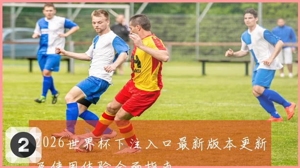 2026世界杯下注入口最新版本更新及使用体验全面指南
