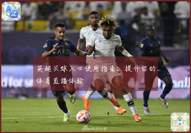 英超买球入口使用指南：提升你的体育直播体验