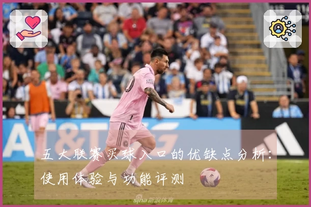 五大联赛买球入口的优缺点分析：使用体验与功能评测