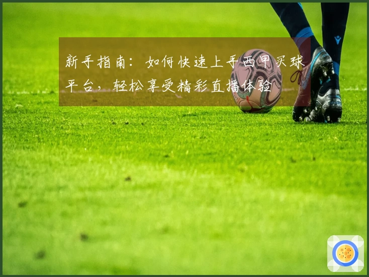 新手指南:如何快速上手西甲买球平台,轻松享受精彩直播体验