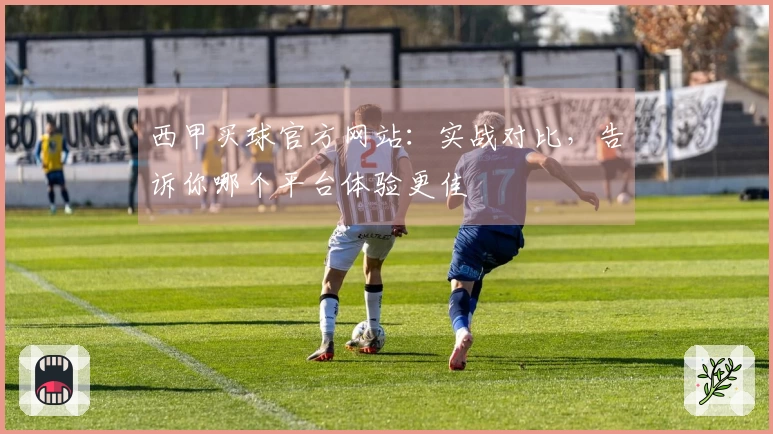 西甲买球官方网站：实战对比，告诉你哪个平台体验更佳