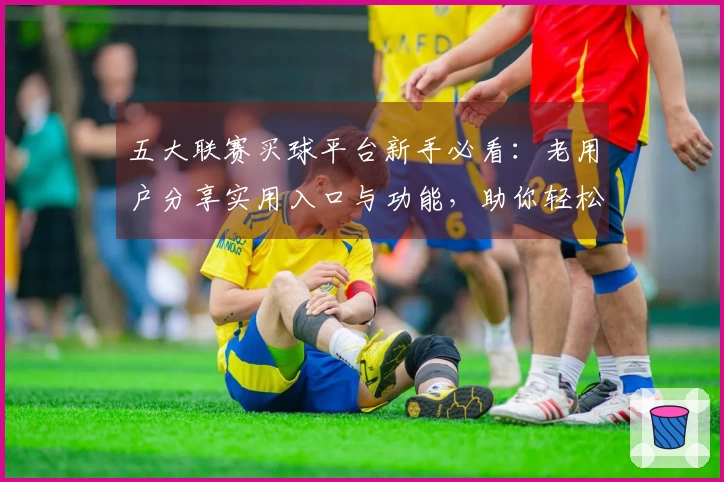 五大联赛买球平台新手必看：老用户分享实用入口与功能，助你轻松上手体验