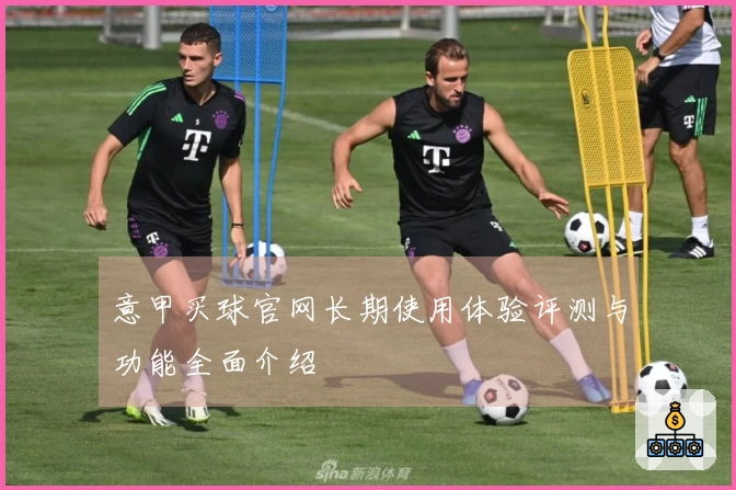 意甲买球官网长期使用体验评测与功能全面介绍